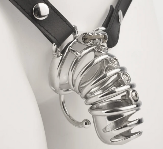 spiked chastity cage with belt