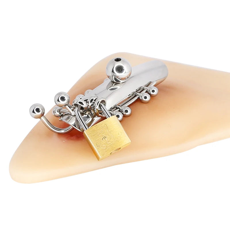 Female Chastity Lock with Urethral Catheter Labia and Charistinga Piercing Lips - ChastityBondage