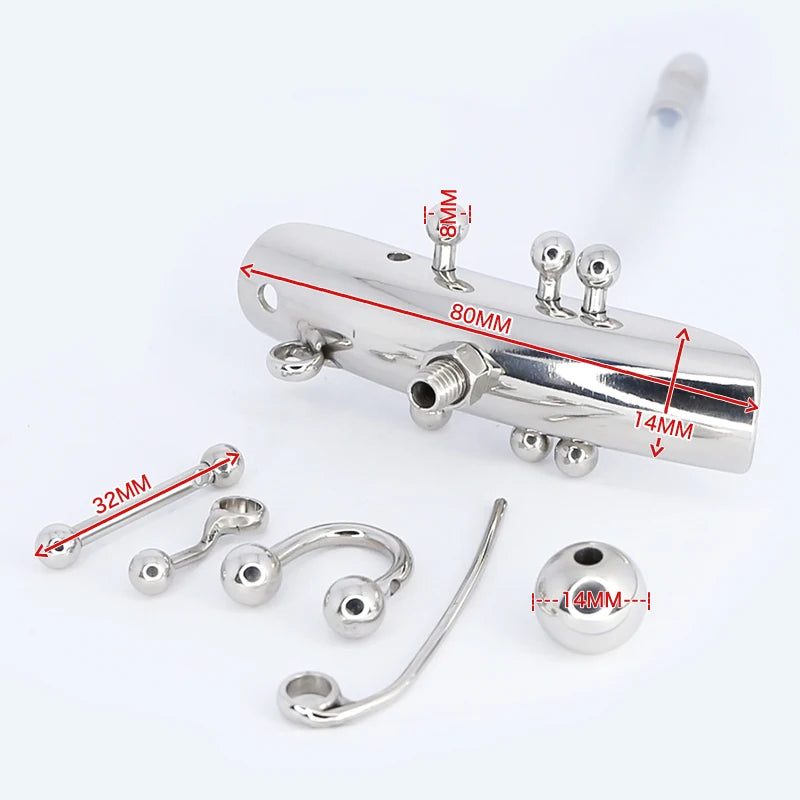 Female Chastity Lock with Urethral Catheter Labia and Charistinga Piercing Lips - ChastityBondage