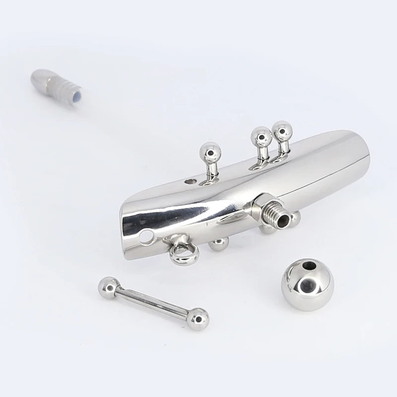 Female Chastity Lock with Urethral Catheter Labia and Charistinga Piercing Lips - ChastityBondage