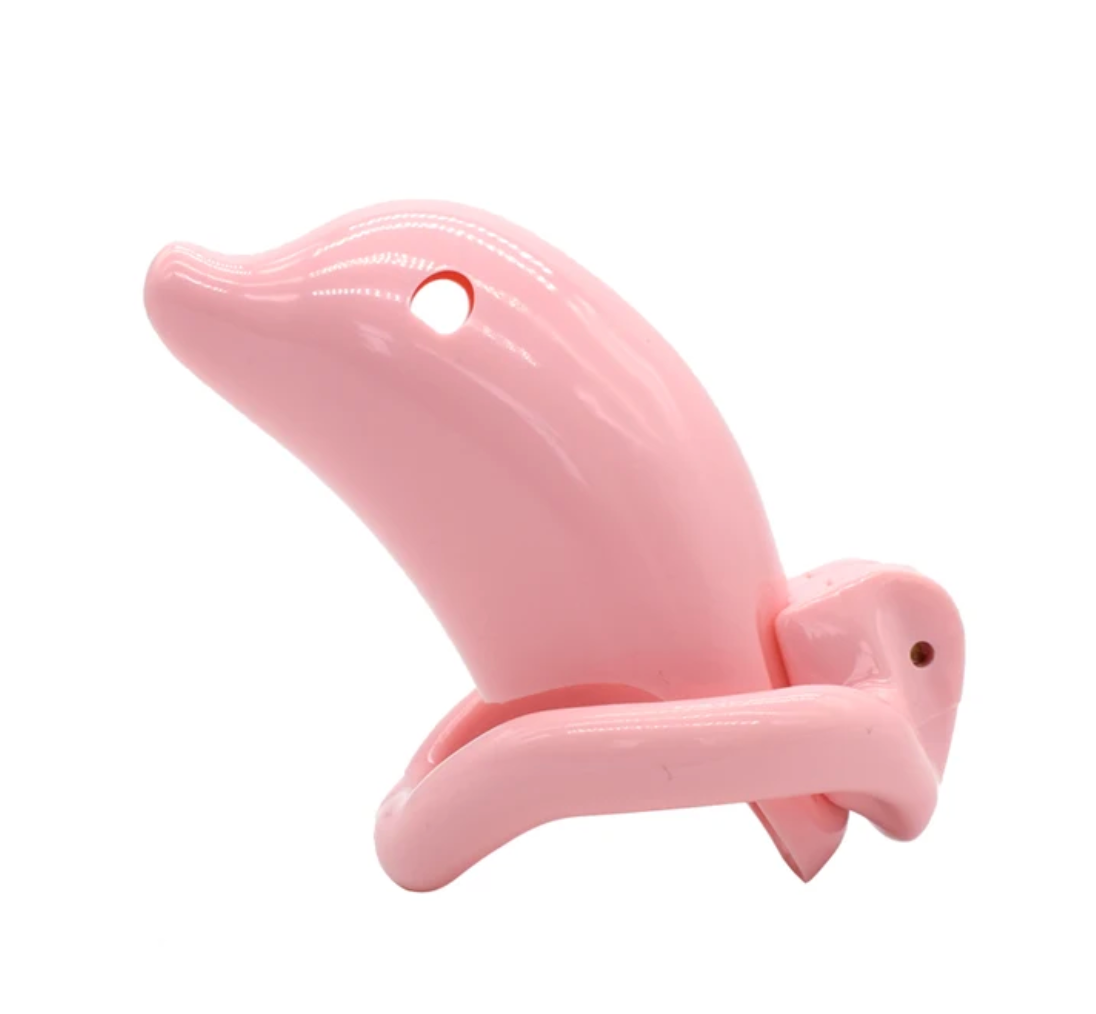 plastic chastity cage