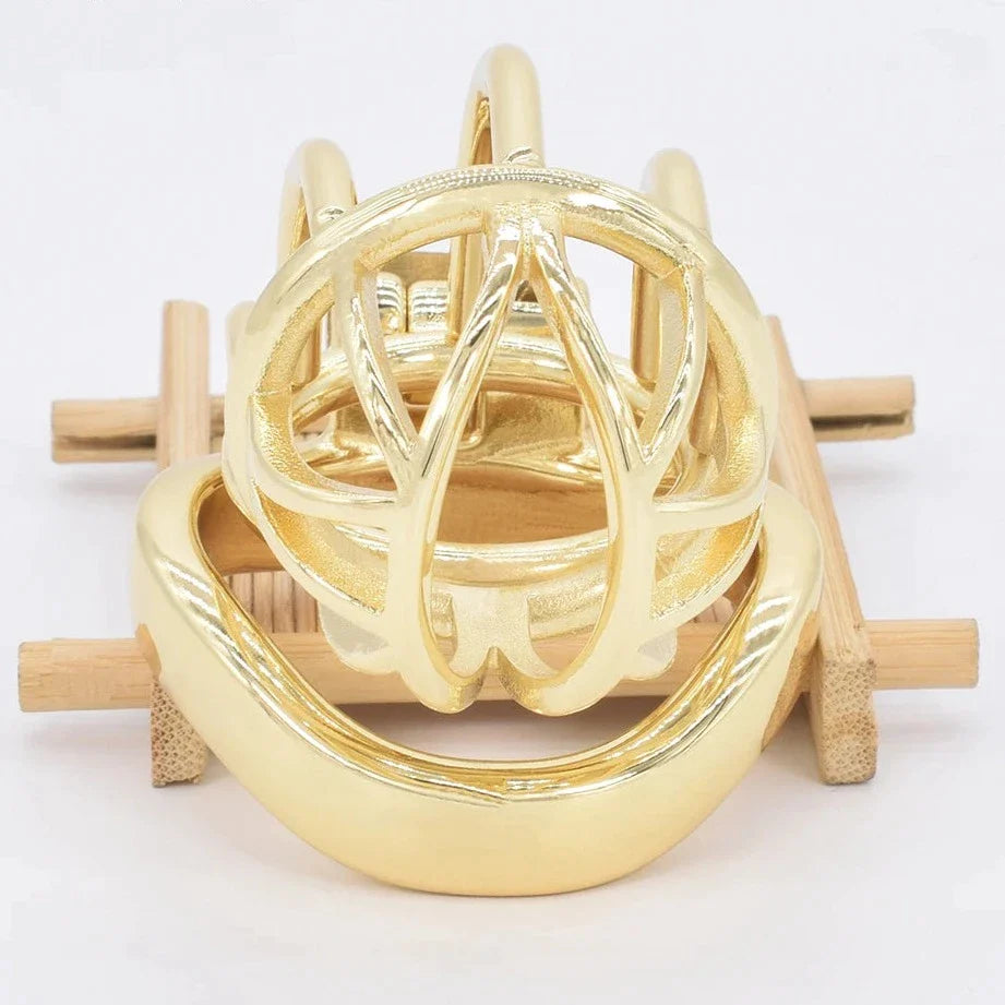 Curved Metal Gold Chastity Cage For Men Golden Cock Cage BDSM Chastity Device