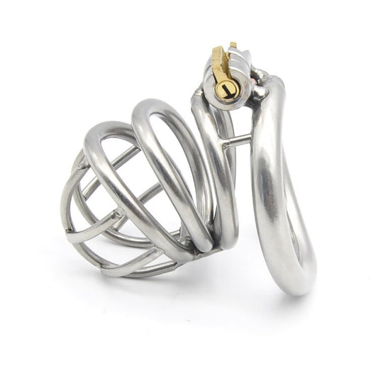 Hollow Stainless Steel Chastity Device For Men