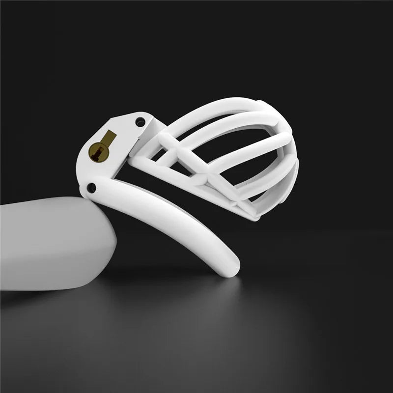 3D Printed PA Chastity Cage with 4 Penis Rings Prince Albert Piercing Cock Cage For Men