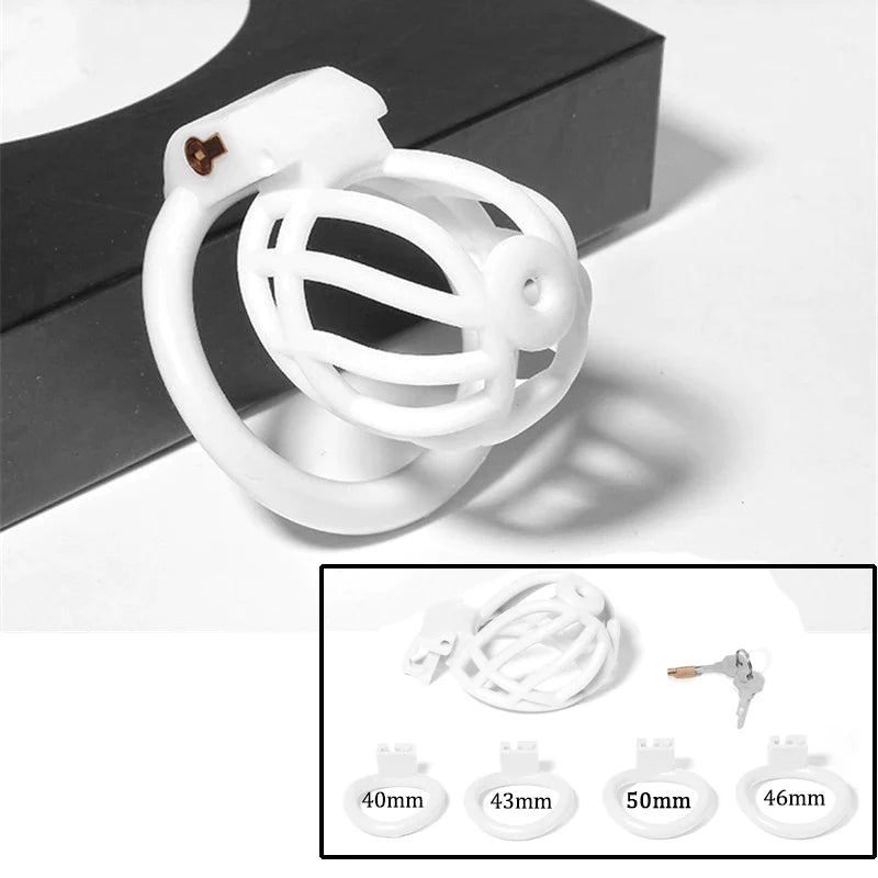 3D Printed PA Chastity Cage with 4 Penis Rings Prince Albert Piercing Cock Cage For Men