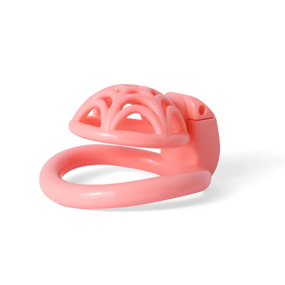 Micro 3D Printed Resin Spidernet Chastity Cage