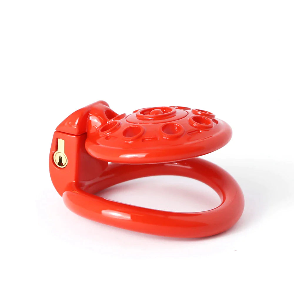 3D Print Inverted UFO Chastity Cage - ChastityBondage
