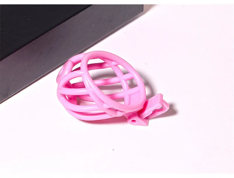 3D Printed PA Chastity Cage with 4 Penis Rings Prince Albert Piercing Cock Cage For Men