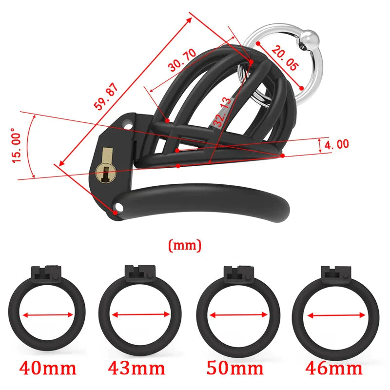 3D Printed PA Chastity Cage with 4 Penis Rings Prince Albert Piercing Cock Cage For Men