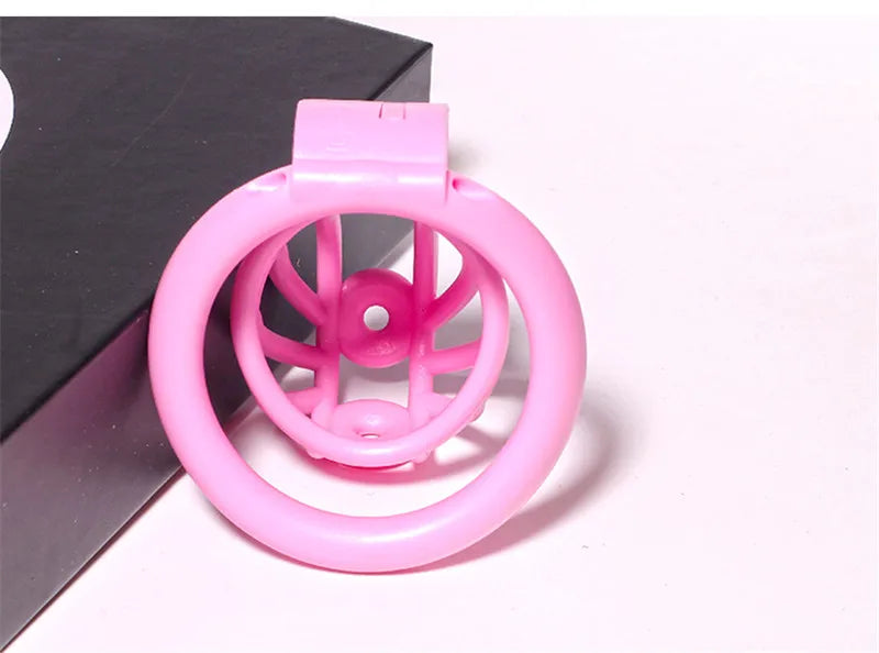 3D Printed PA Chastity Cage with 4 Penis Rings Prince Albert Piercing Cock Cage For Men