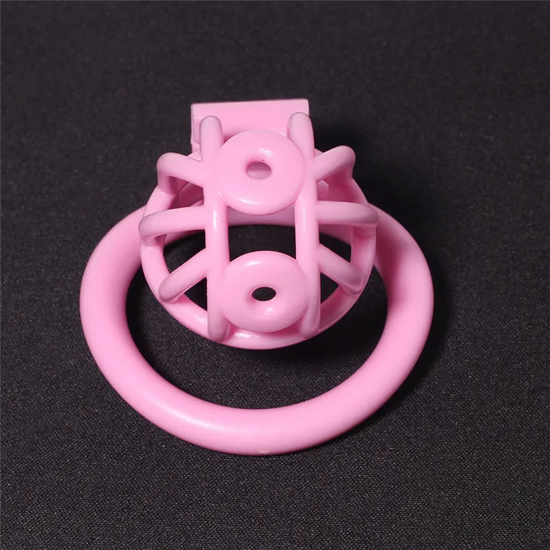 3D Printed PA Chastity Cage with 4 Penis Rings Prince Albert Piercing Cock Cage For Men