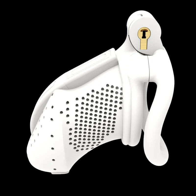3D printed chastity cage resin cock cage for men
