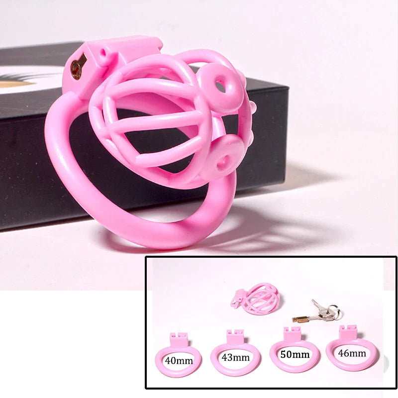 3D Printed PA Chastity Cage with 4 Penis Rings Prince Albert Piercing Cock Cage For Men