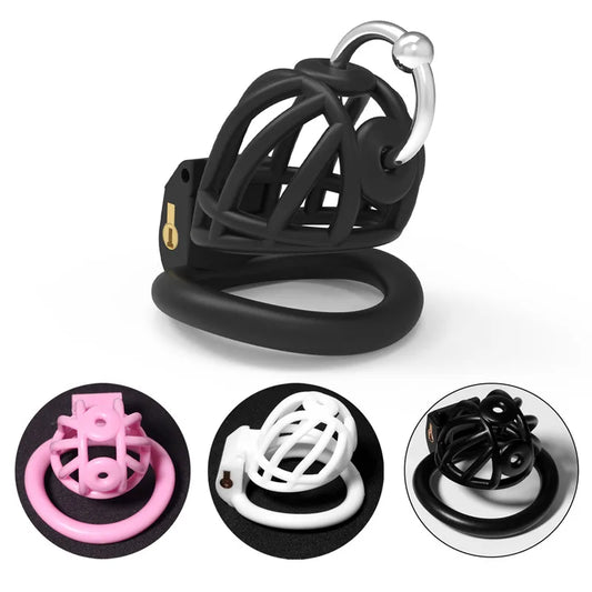 3D Printed PA Chastity Cage with 4 Penis Rings Prince Albert Piercing Cock Cage For Men