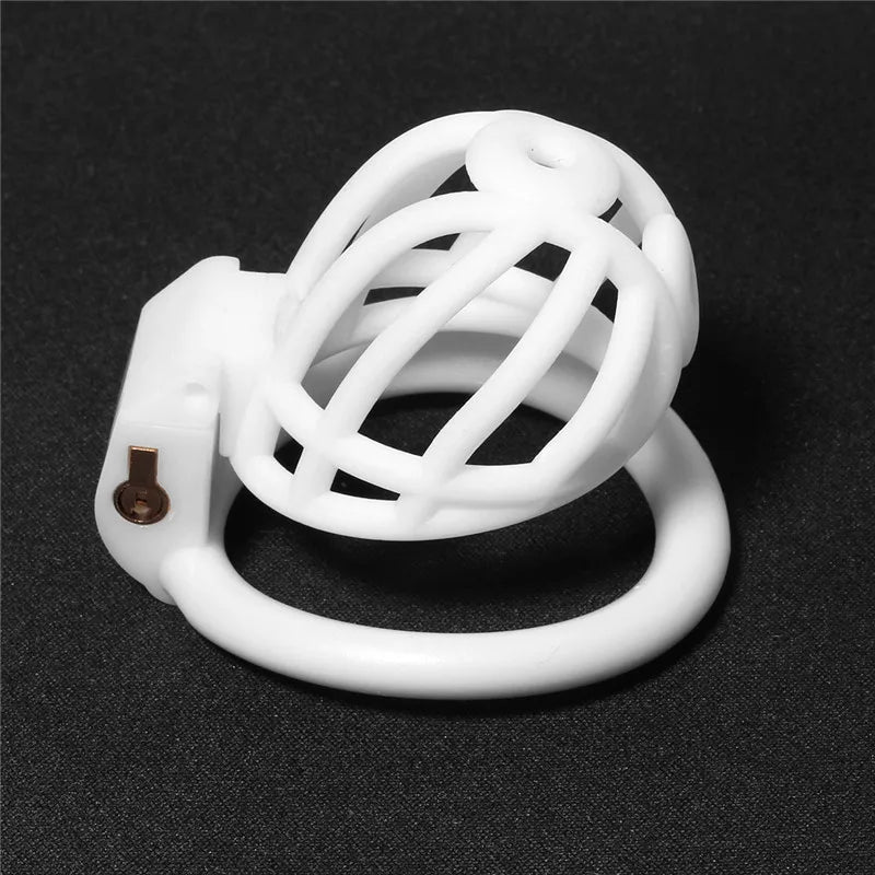 3D Printed PA Chastity Cage with 4 Penis Rings Prince Albert Piercing Cock Cage For Men