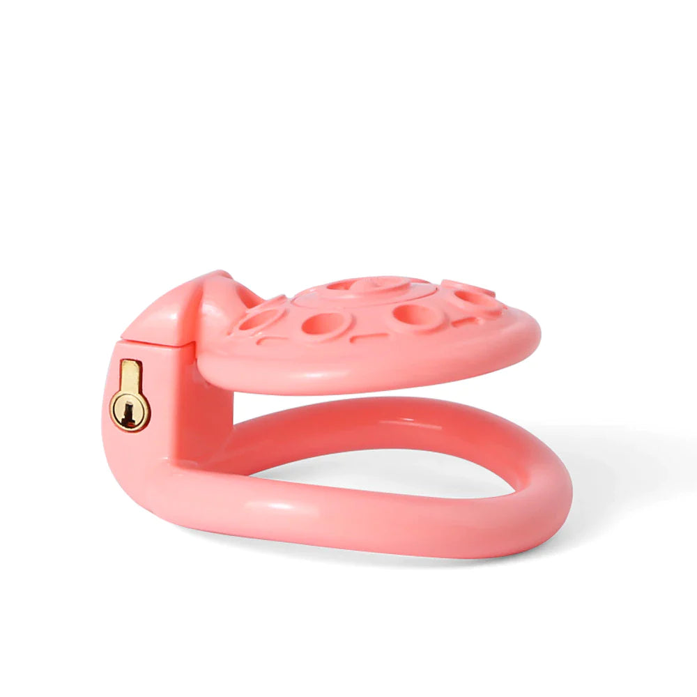 3D Print Inverted UFO Chastity Cage - ChastityBondage