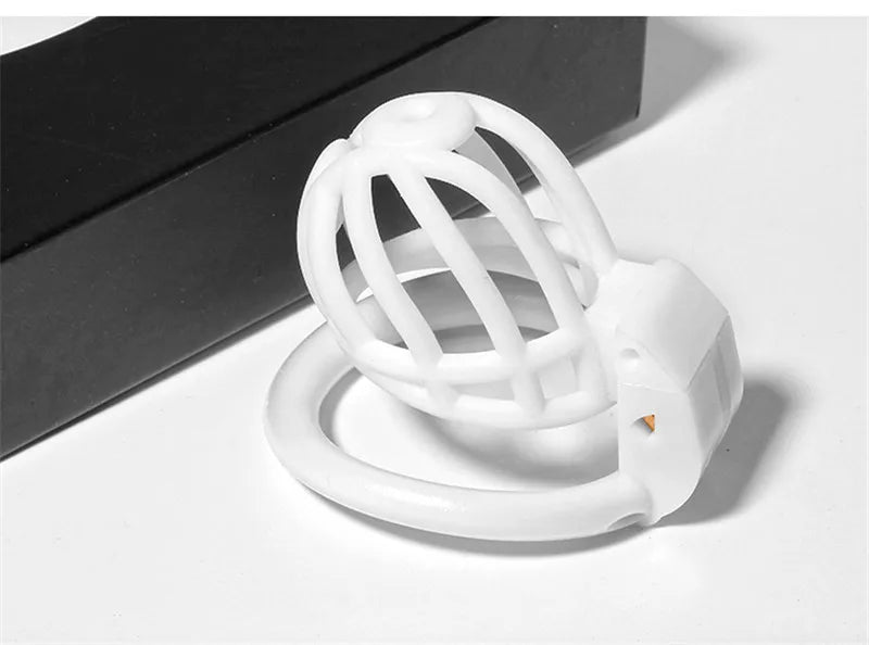 3D Printed PA Chastity Cage with 4 Penis Rings Prince Albert Piercing Cock Cage For Men