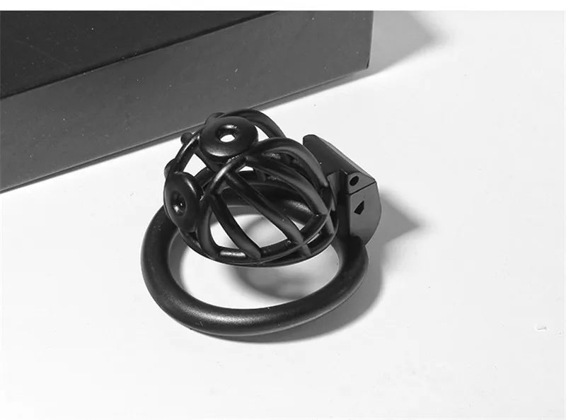 3D Printed PA Chastity Cage with 4 Penis Rings Prince Albert Piercing Cock Cage For Men