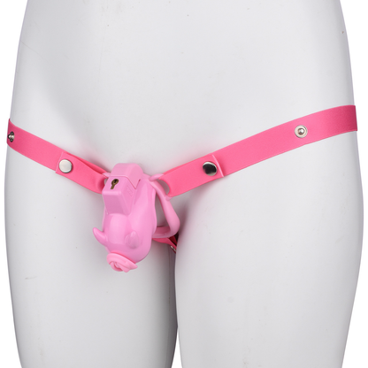 Little Devil Chastity Cage with Vaginal-Style Silicone Catheter – Black/Pink ABS Resin