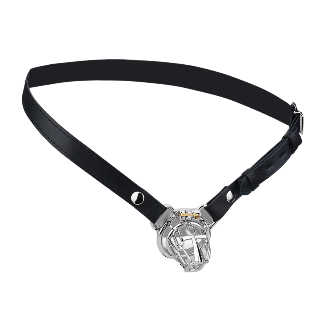HolyLock Metal Chastity Cage for Men Male Small Cock Lock with Belt