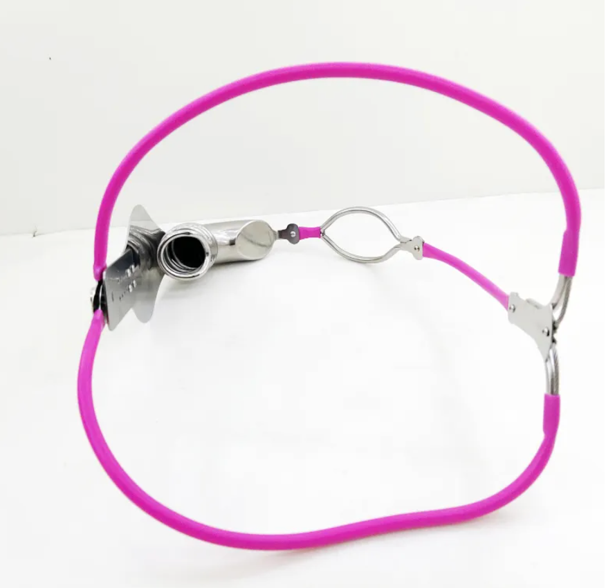 Stainless Steel Cock Shield Chastity Belt with Shit Hole - Pink - ChastityBondage