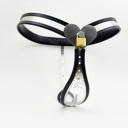 Clear See-Through Female Chastity Belt with Heart Lock Womens Vagina Lock