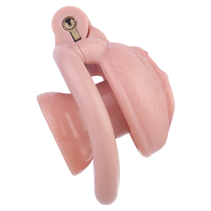 Pink Nude Clitoris Pussy Chastity Cage with Detachable Inverted Plug for Sissy Crossdressers