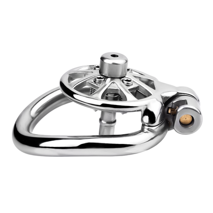 Versatile Flat Chastity Cage with Removable Spikes and Silicone/Metal Catheter Anti-Cheating Device