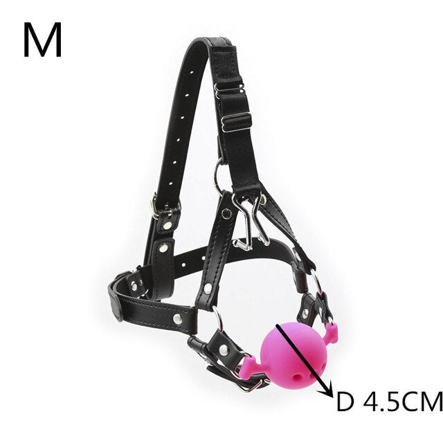 Bondage Gag ball and nose hook