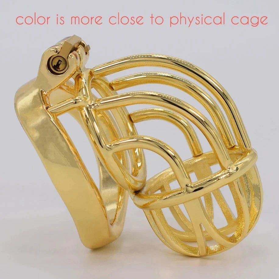 Curved Metal Gold Chastity Cage For Men Golden Cock Cage BDSM Chastity Device